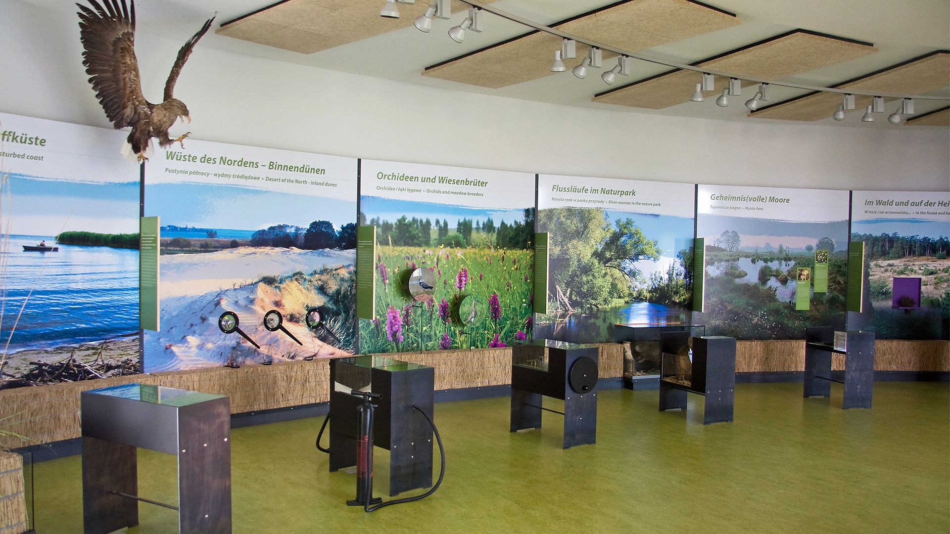 Ausstellung im Besucherinformationszentrum des Naturparks Am Stettiner Haff