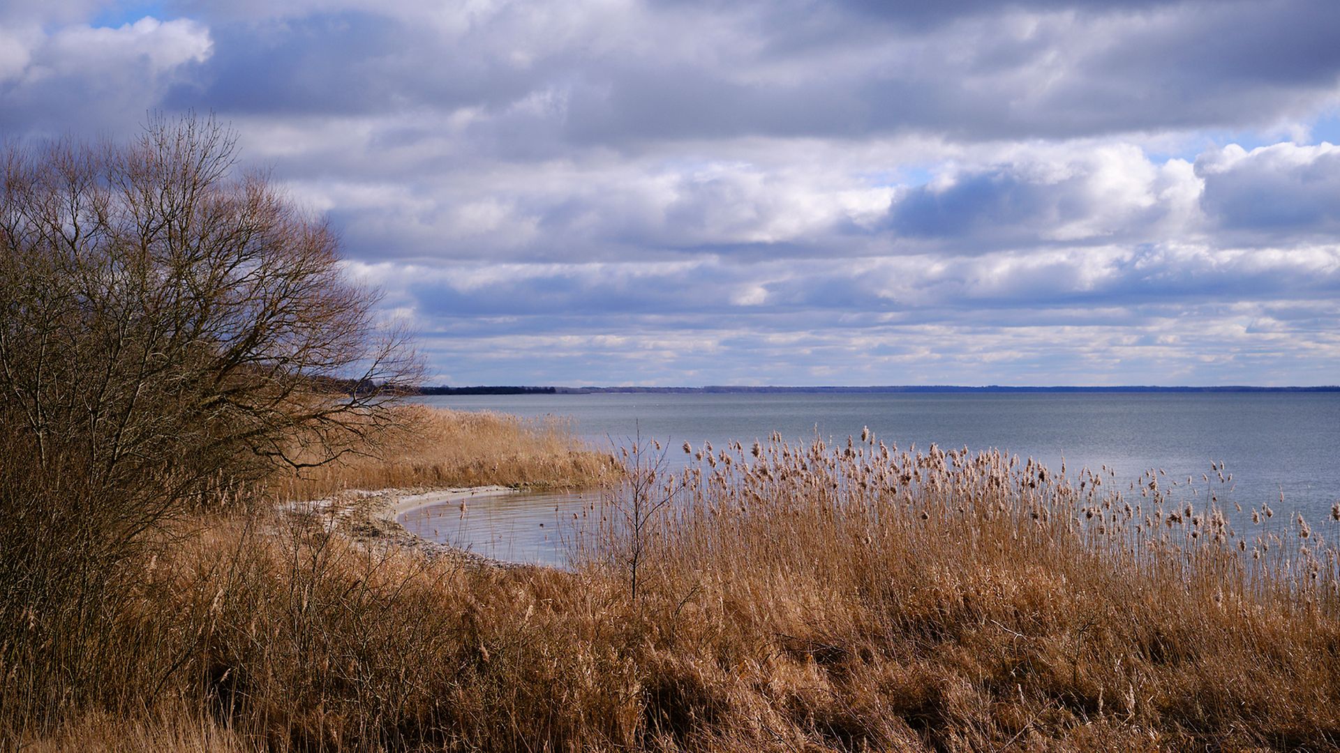 Pure Idylle: Blick auf die Müritz