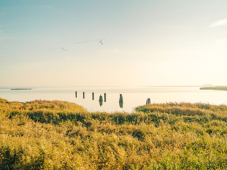 Blick auf den Bodden