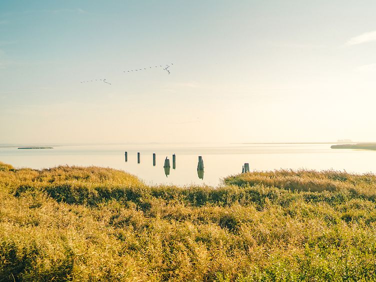 Blick auf den Bodden