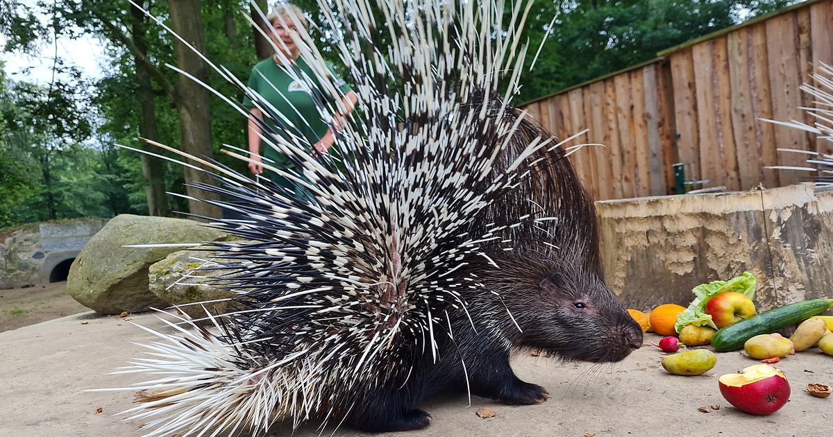 tickets für tierpark tannenkamp wolgast