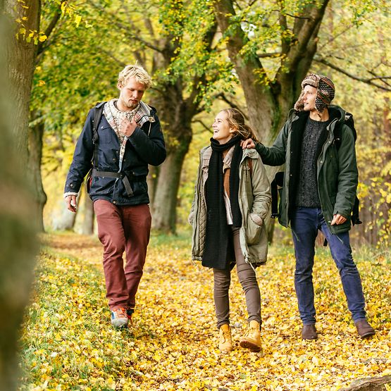Drei Freunde unterwegs im herbstlich gefärbten Wald 