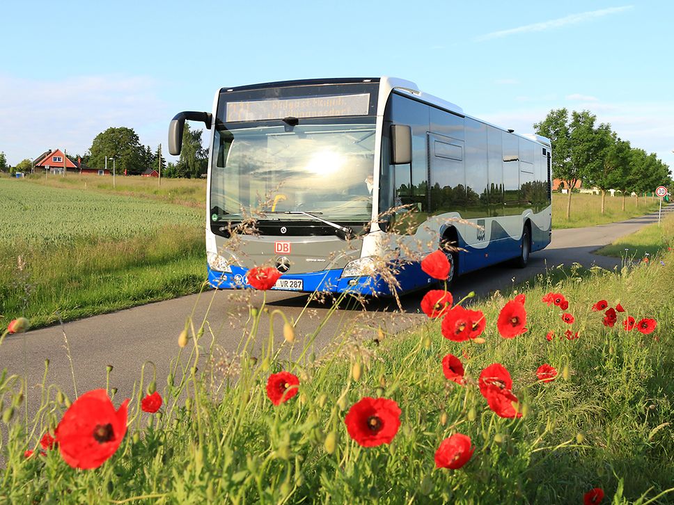 Ein Bus mit der blau-weißen Welle der UBB fährt auf einer schmalen Straße am Rande einer Wiese mit roten Mohnblumen
