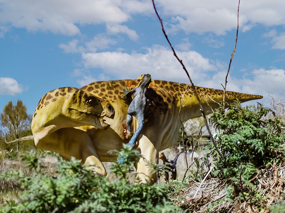 Ein kleiner Raptor springt ein stämmiges gelb-braunes Dino-Modell an 