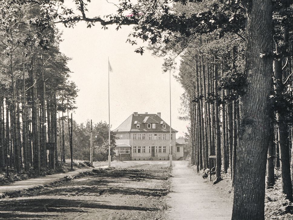 Blick durch eine Schneise im Wald auf den Bahnhof von Graal-Müritz