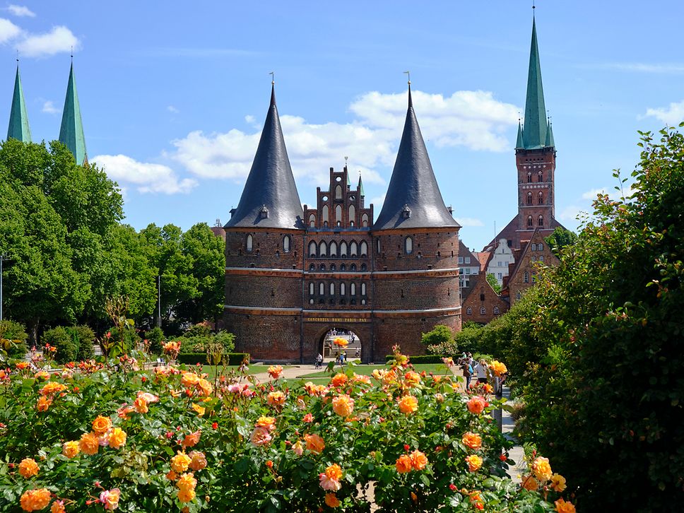 Westansicht auf das Lübecker Holstentor, mit Rosenbüschen im Vordergrund.