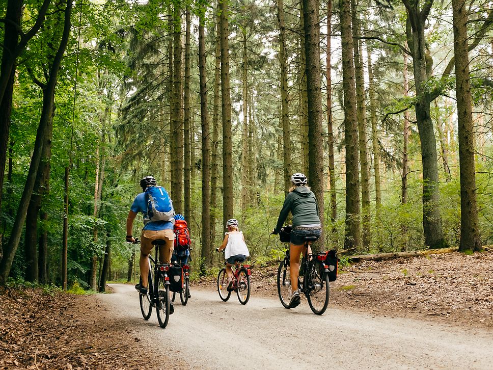 Drei Erwachsene und ein Kind fahren auf Fahrrädern über einen Weg zwischen Laub- und Nadelbäumen
