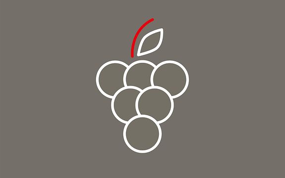 Stilisierte Grafik einer Weinreebe