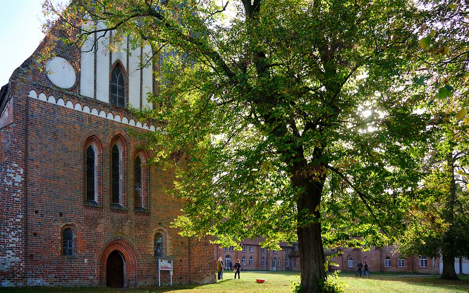 Die Sonne scheint durch das Laub eines Baumes vor dem Kloster Rühn mit seiner lauschigen Backstein-Kirche