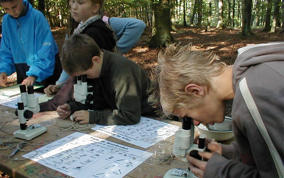 Kinder stehen um einen Tisch im Wald, zwei schauen durch Mikroskope, davor liegen Fragebögen zu Tieren im Waldboden