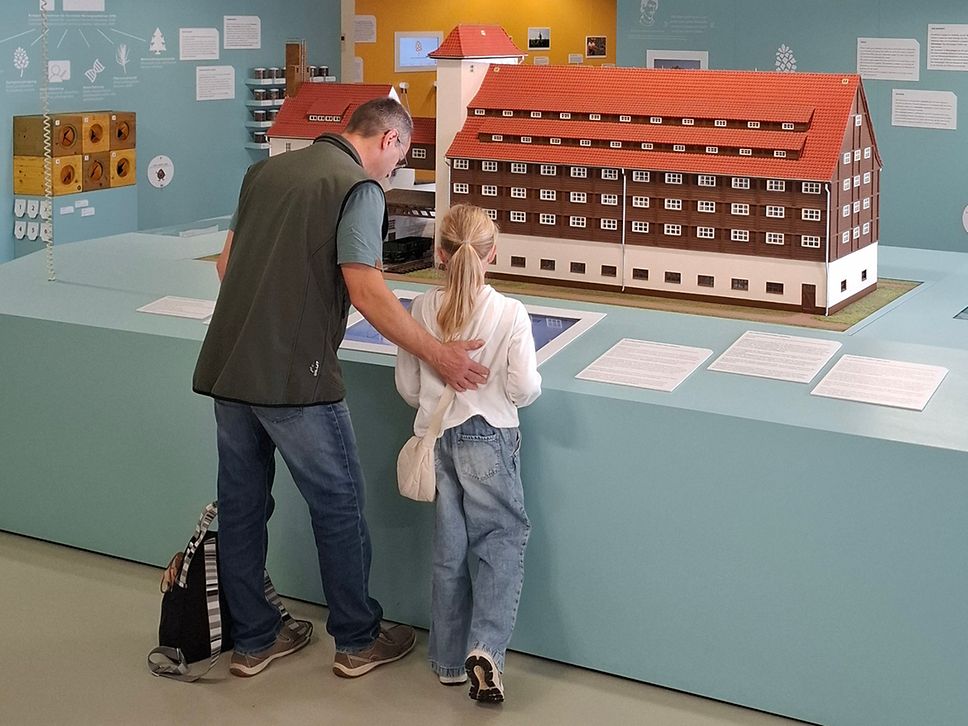 Ein Mann und ein Mädchen stehen in der Dauerausstellung vor einem Modell der Forstsamendarre Jatznick 