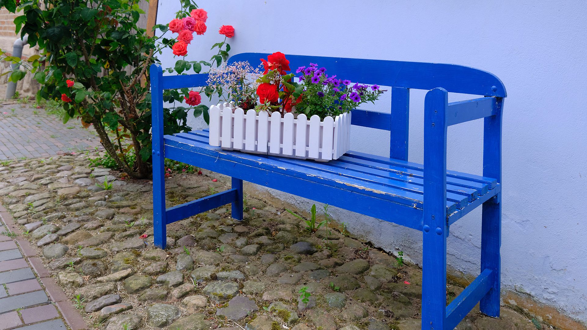 Eine weiße Kiste mit roten Blumen auf einer blauen Bank in Bützow