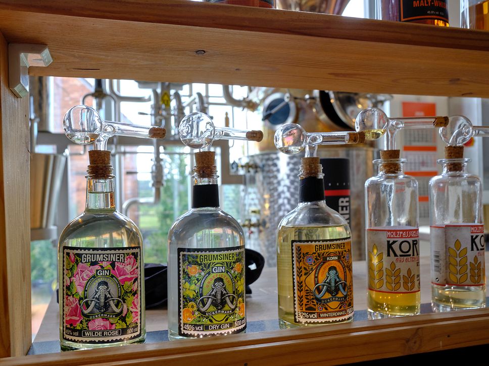 Gläserne Spirituosenflaschen mit bunten Etiketten und Glas-Portionierern in einem Holzregal, im Hintergrund die Brennanlage.