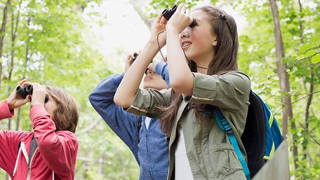 Drei Schüler:innen Blicken mit Ferngläsern in die Baukronen eines Waldes